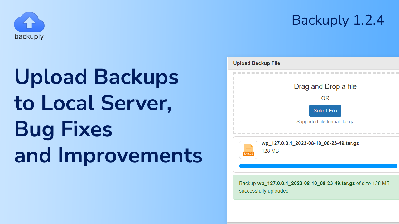 Backuply 1.2.4 Upload backups to Local Server